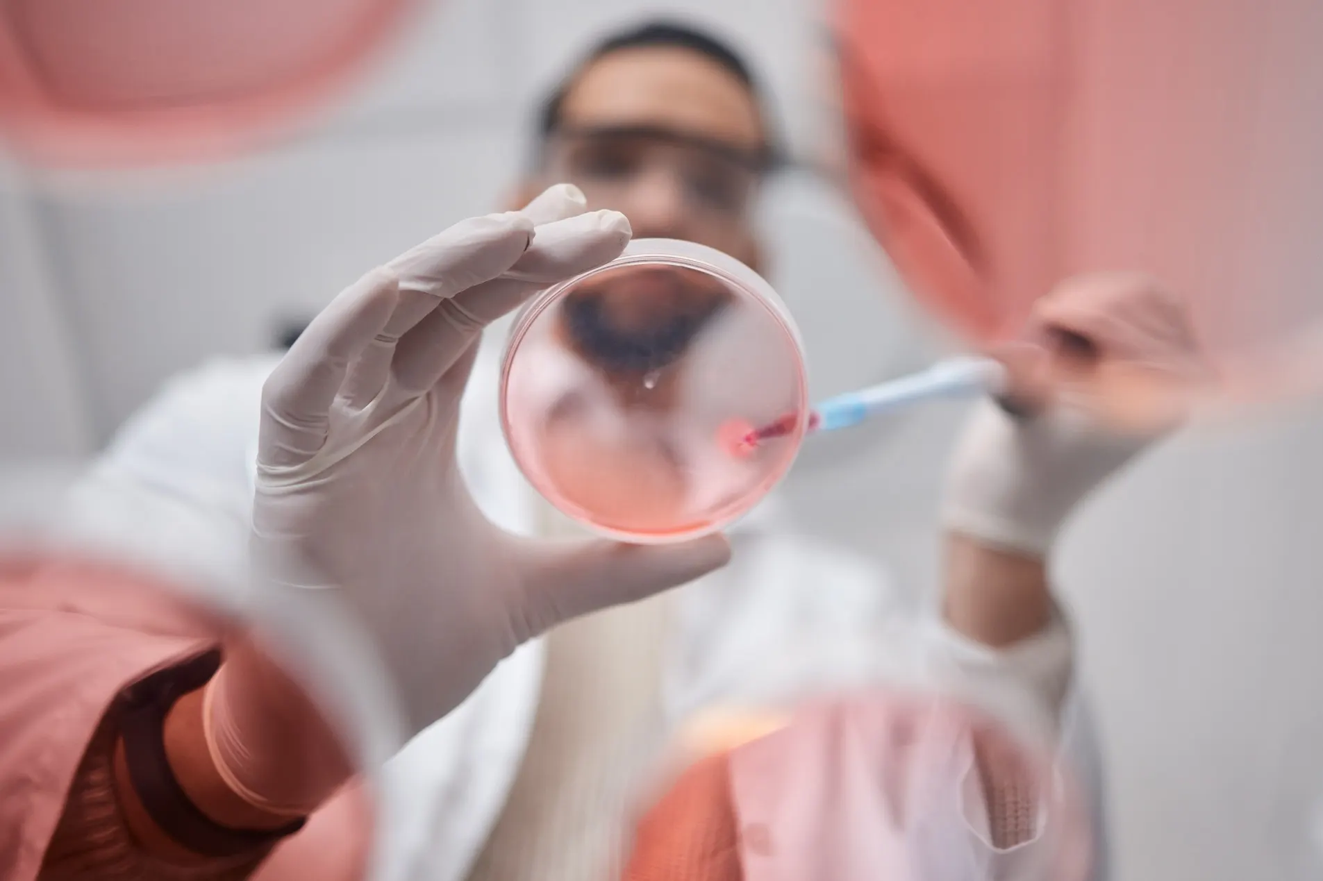 Difference Between IVF and ICSI